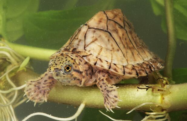 QQ截图20160818163248