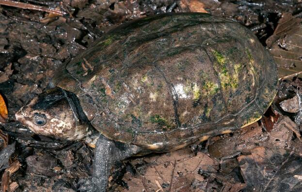 QQ截图20160818174843