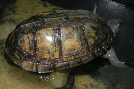 QQ截图20160818174854