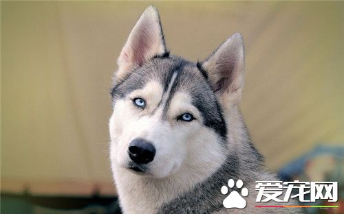 干什么？有事快说，今天心情不好！