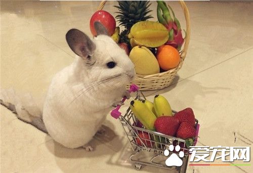 鼠星人，买了一堆好吃的，回家慢慢吃！