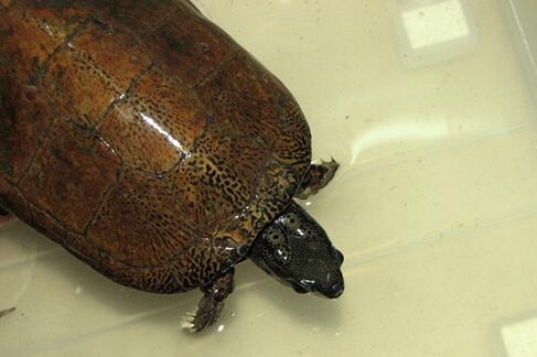 QQ截图20160819165834