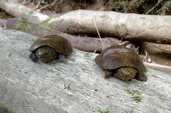 QQ截图20160819172636