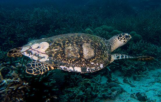 QQ截图20160819175346