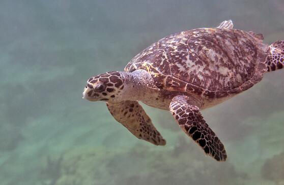 QQ截图20160819174859