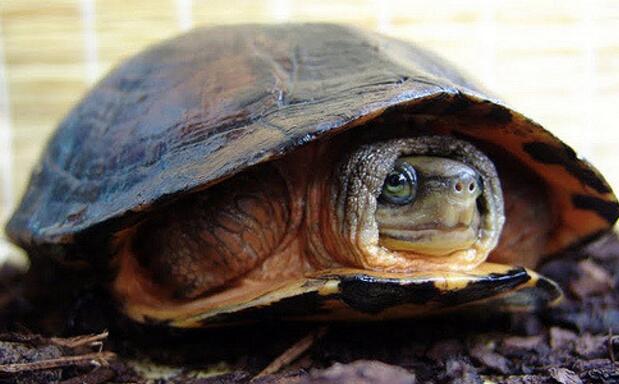 QQ截图20160819174516