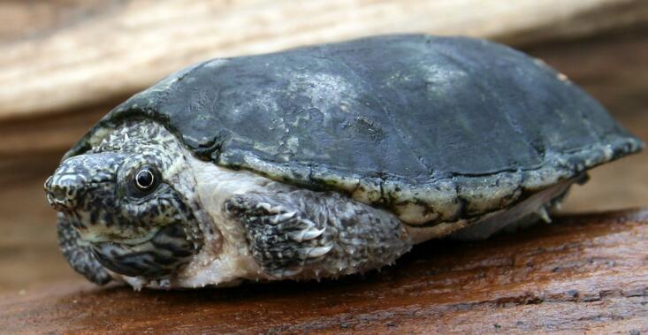 QQ截图20160819172549