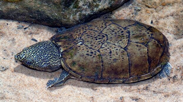 QQ截图20160819172559