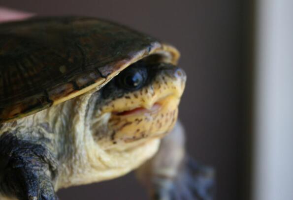 QQ截图20160819170308