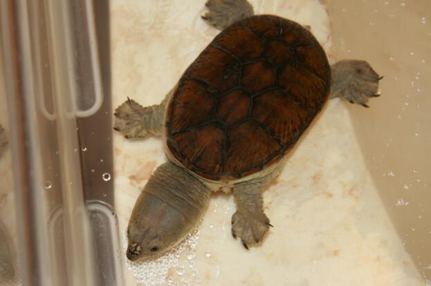 QQ截图20160819170249