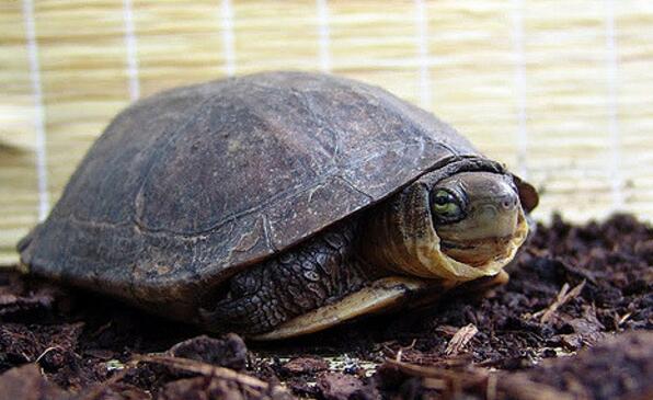 QQ截图20160819174521