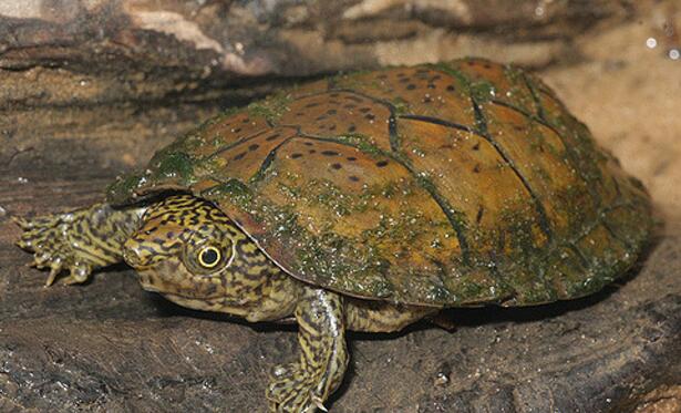 QQ截图20160819172532