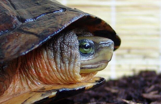 QQ截图20160819174512