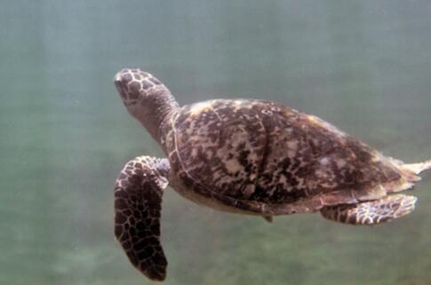 QQ截图20160819174911