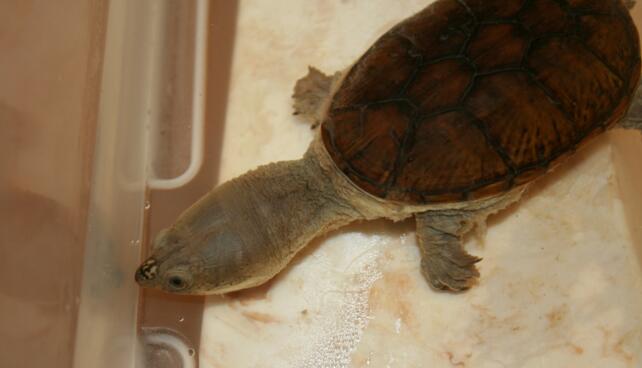 QQ截图20160819170244