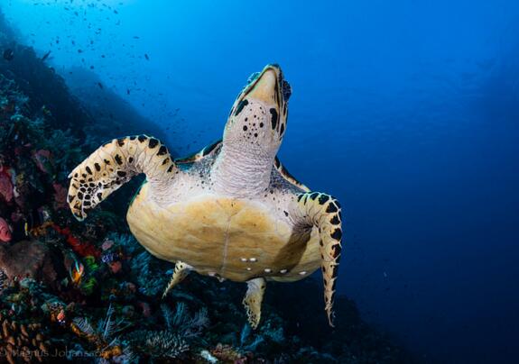 QQ截图20160819174851