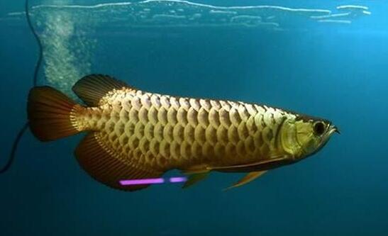 QQ截图20160802174019