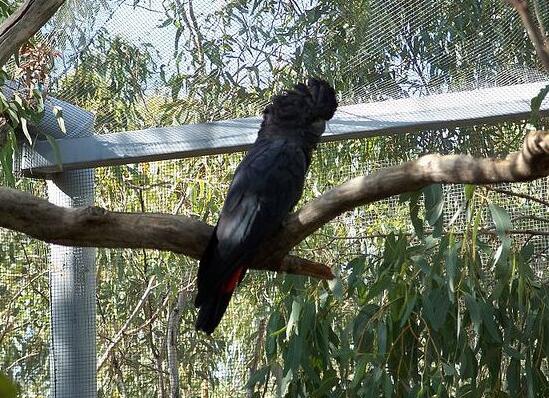 QQ截图20160802183711