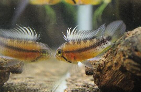 QQ截图20160802180706