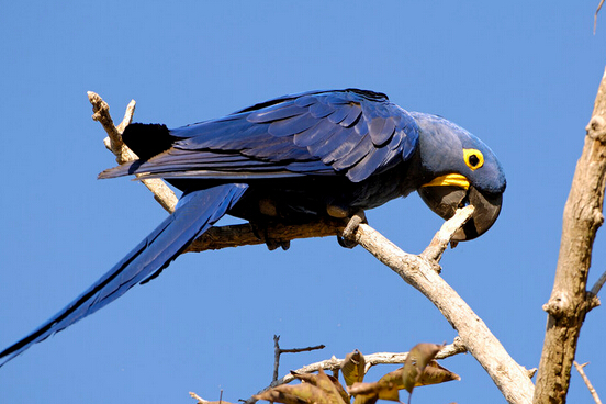 QQ截图20160802183242