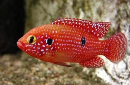 QQ截图20160802142838