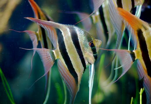 QQ截图20160802174608