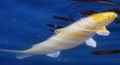 QQ截图20160802162754