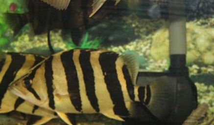 QQ截图20160802170636