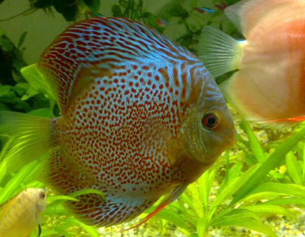 QQ截图20160802163529