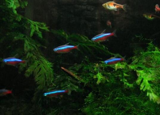 QQ截图20160802154714