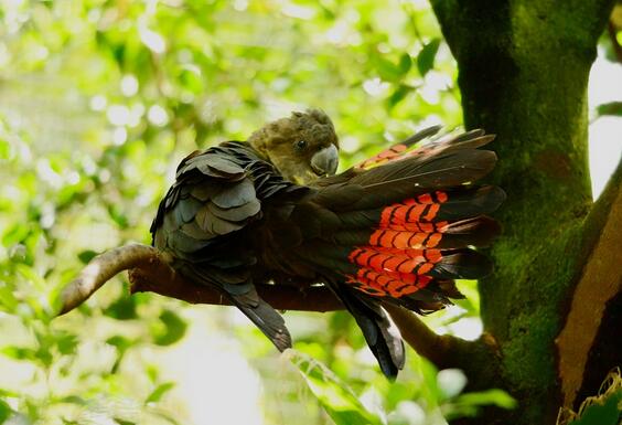 QQ截图20160802183659