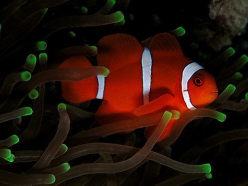 20140829092383508350