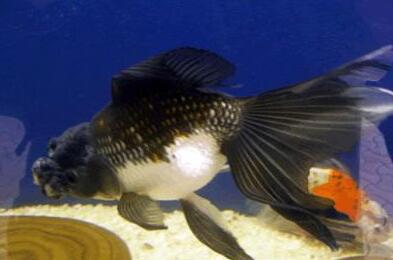 QQ截图20160802164255