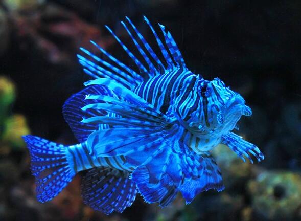 QQ截图20160802175604