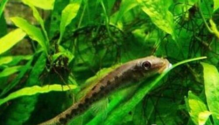 QQ截图20160802171748