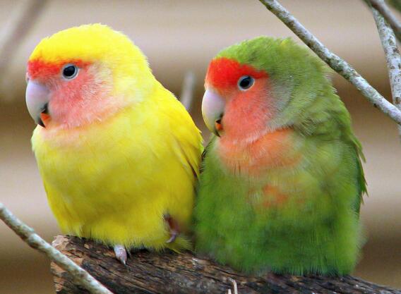 QQ截图20160802182401