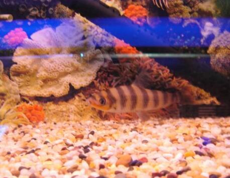 QQ截图20160802143950