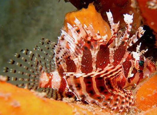 QQ截图20160802175849