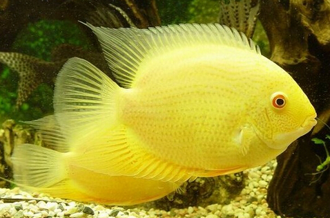 QQ截图20160802175336