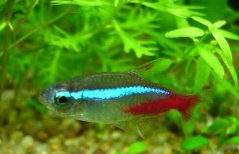 QQ截图20160802154500