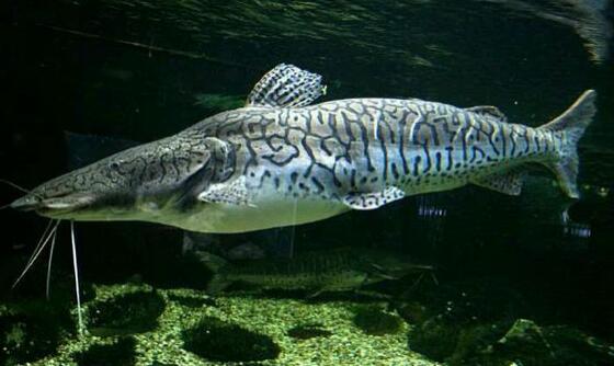 QQ截图20160802180014