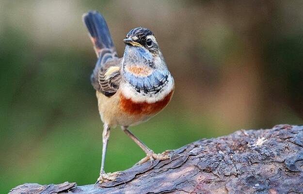 QQ截图20160802183242