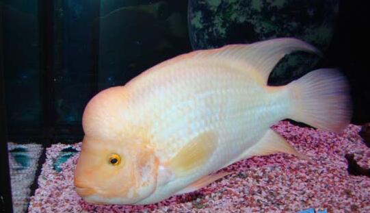 QQ截图20160802171619