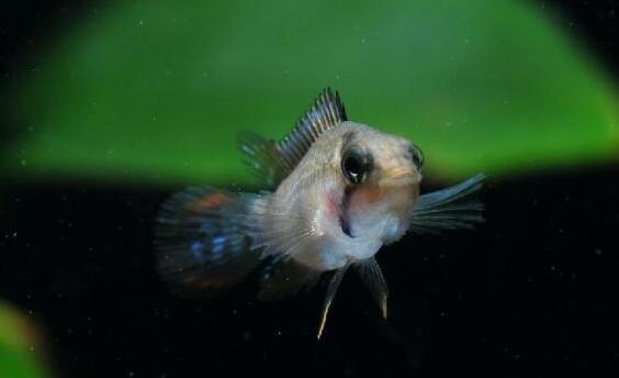 QQ截图20160802180823