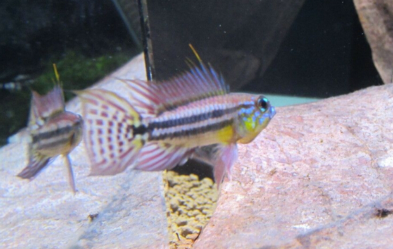 QQ截图20160802163058