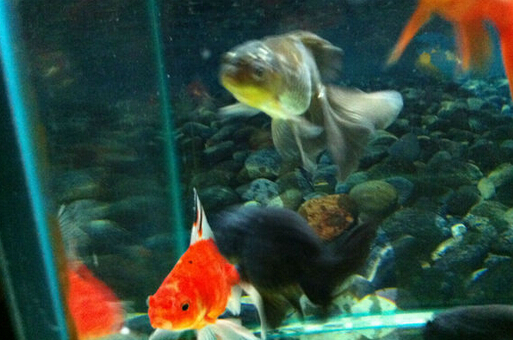 QQ截图20160802172104