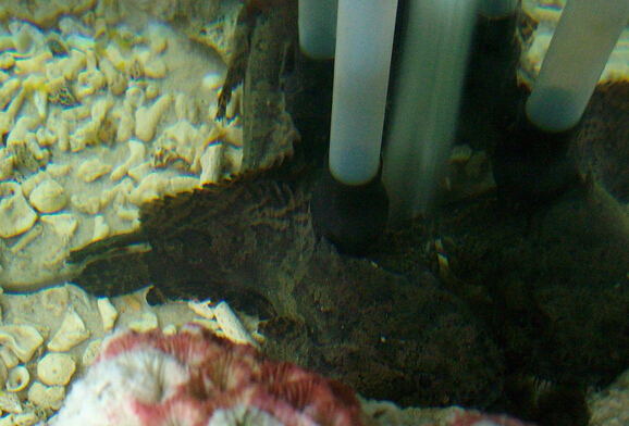 QQ截图20160802162048