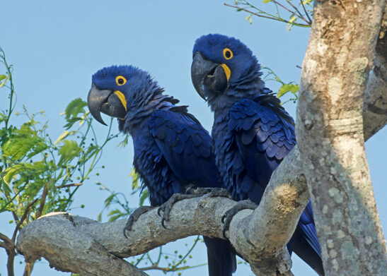 QQ截图20160802183248