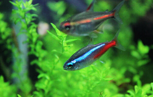 QQ截图20160802161543