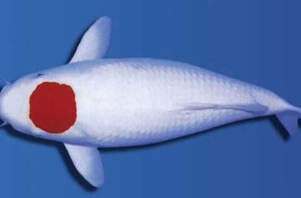 QQ截图20160802165655